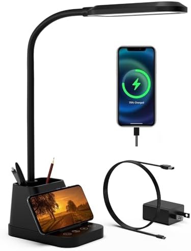 LED Desk Lamp with USB Charging Port