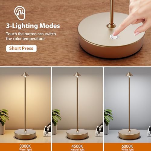 Two Pack Titanium Metal Cordless Lamps — photo 3