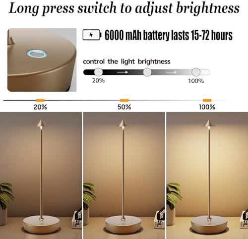 Two Pack Titanium Metal Cordless Lamps — photo 4