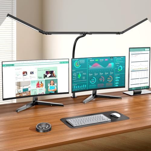 Double Head Clamp Lamp with Remote Control