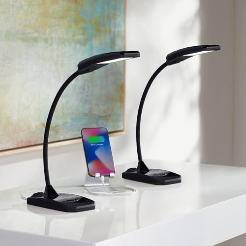 Ricky black gooseneck desk lamps set