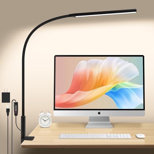 Black Gooseneck Desk Light with Clamp