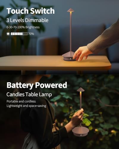 Brown cordless portable table lamp set — photo 4