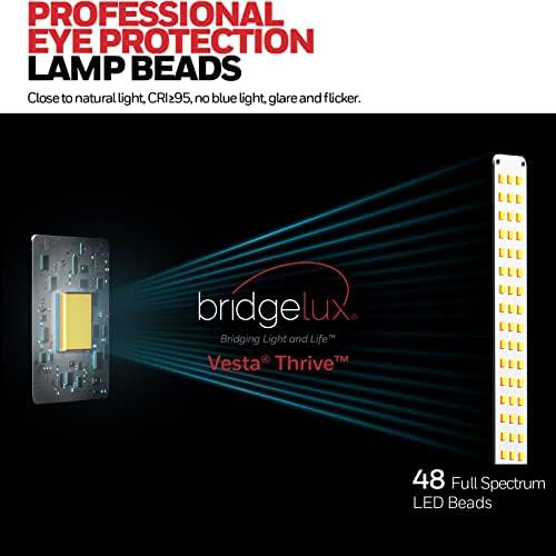 Compact Pro LED Lamp with Dual Charging — photo 4