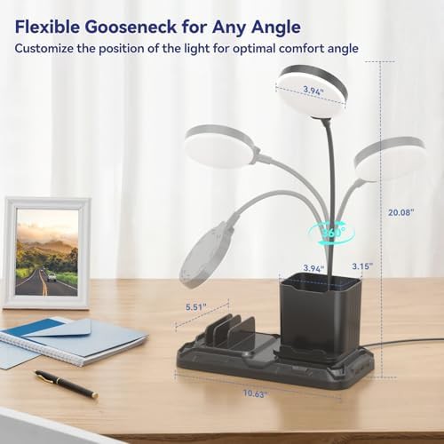 Desk Lamp with Dual USB Charging Ports — photo 4