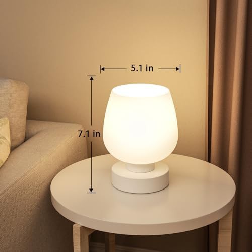 Small Glass Touch Bedside Lamp — photo 5