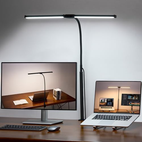 Double Head LED Lamp with Clamp